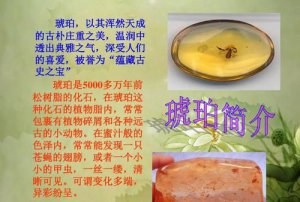 ​琥珀的形成时间,课文琥珀为什么说从琥珀看出几万年前
