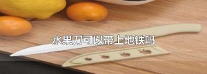 ​小水果刀能带上地铁,水果刀可以带上高铁地铁吗