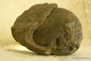 ​香水主要成分龙涎香（名贵香水定香剂）