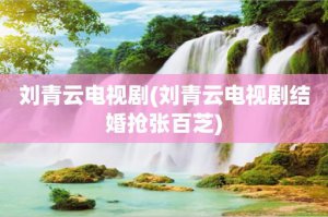 ​刘青云电视剧(刘青云电视剧结婚抢张百芝)