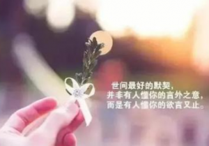 ​冷暖自知的前一句，冷暖自知前一句是什么？