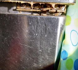 ​冰箱有蟑螂怎么去除,冰箱里面有蟑螂怎么办呢?