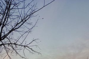 ​早上起来拥抱太阳歌词