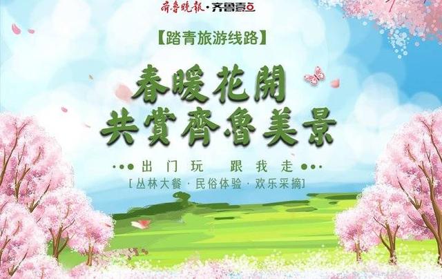 山东省金桥国际旅行社（康辉旅游集团山东国际旅行社）(1)