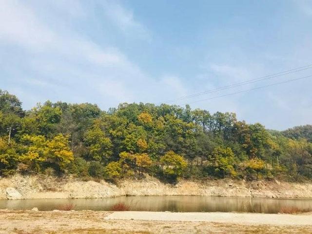 山东省金桥国际旅行社（康辉旅游集团山东国际旅行社）(2)