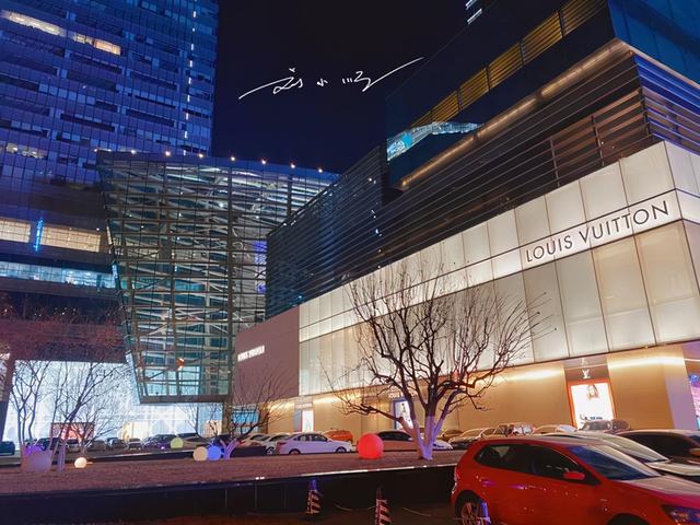 北京lv专卖店在哪里买（LV专卖店最多的东北城市）(6)