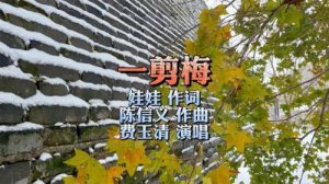 ​费玉清一剪梅歌词