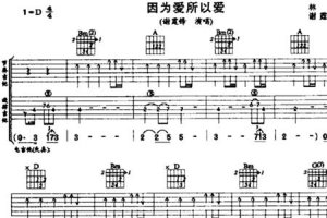 ​因为爱所以爱歌词含义