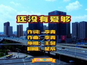 ​还没有爱够歌词原唱男版