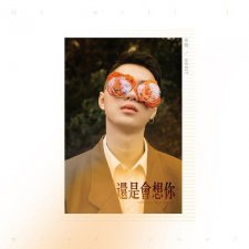 ​还是会想你林达浪歌词