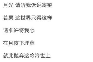 ​冷冷的风儿随风吹是哪首歌词