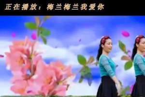 ​梅兰梅兰我爱你歌词的寓意