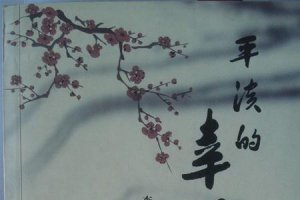 ​歌词平平淡淡的幸福是什么歌