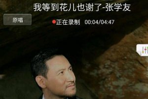 ​我等到花儿也谢了歌词含义