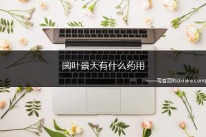 ​圆叶景天有什么药用，圆叶景天的别名
