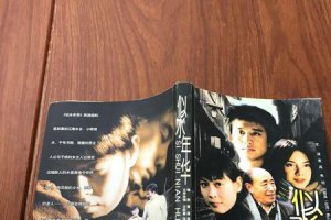 ​黄磊似水年华歌词意思