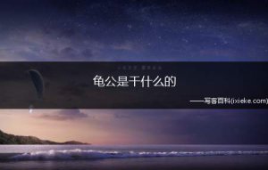 ​龟公是干什么的(古代龟公干什么的)