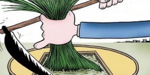 ​割韭菜是什么道理，像韭菜一般被没有断分割的股民