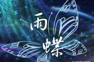 ​爱到心破灭也别去怪谁是什么歌，雨蝶歌曲引见
