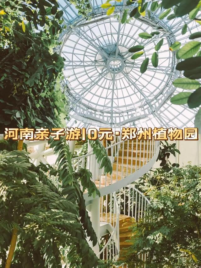 河南植物园旅游攻略（郑州植物园0门票休闲好去处）(1)
