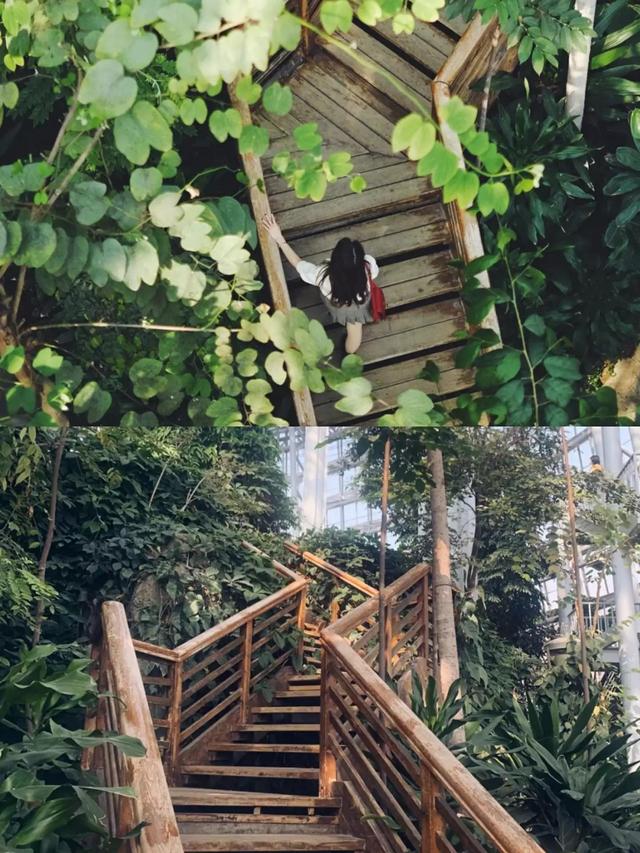 河南植物园旅游攻略（郑州植物园0门票休闲好去处）(2)