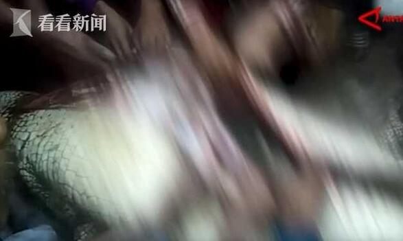 史上最惨动物吃人事变 十大动物吃人事变