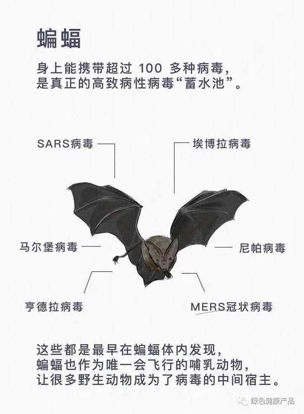十大野灵巧物病毒排行榜：前十名野灵巧物携戴病毒排名