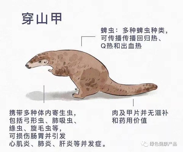 十大野灵巧物病毒排行榜：前十名野灵巧物携戴病毒排名