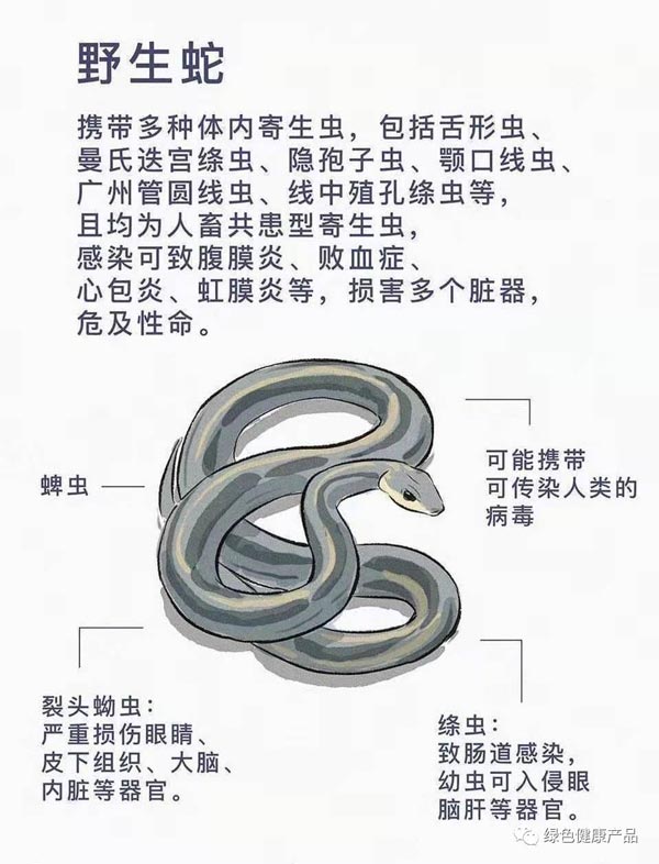 十大野灵巧物病毒排行榜：前十名野灵巧物携戴病毒排名