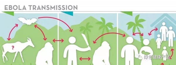 十大野灵巧物病毒排行榜：前十名野灵巧物携戴病毒排名