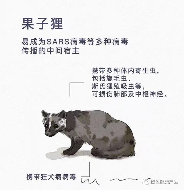 十大野灵巧物病毒排行榜：前十名野灵巧物携戴病毒排名
