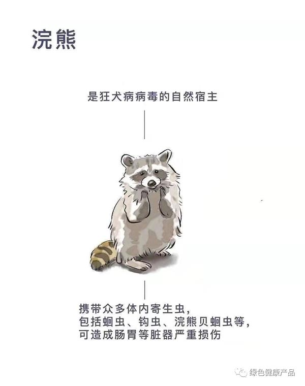十大野灵巧物病毒排行榜：前十名野灵巧物携戴病毒排名