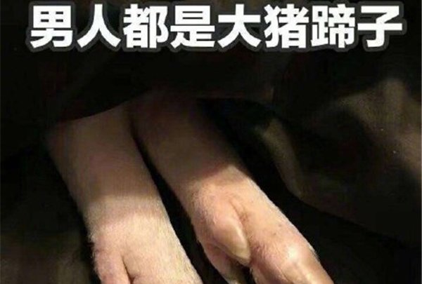 为什么喊男子大猪蹄子 有十分多中的阐明