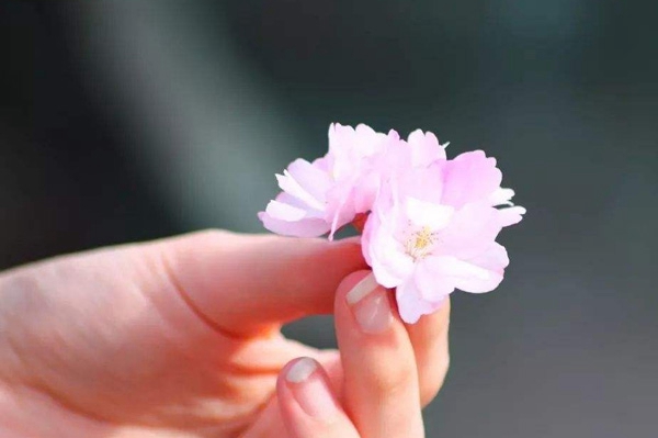 拈花一笑