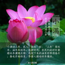 ​大学毕业一句话留言