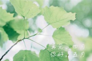 ​八一建军节快乐[40条] (祝贺词)