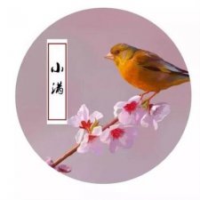 ​日常关心 关心客户的话语简短 关心顾客