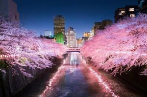 ​惹女朋友生气道歉短信（对女朋友的道歉信）