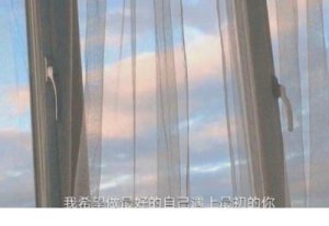 ​2023网络用语,2023网络用语