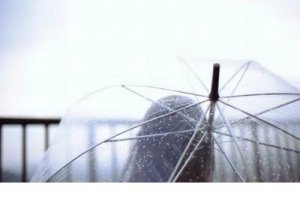 ​家长感谢老师的话简短 对幼儿园老师的评价