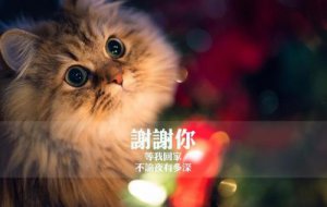 ​分手后怎么挽回的话 一句可以挽回分手的话[32句]