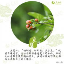 ​早上好简单一句话 每日晨语早上好
