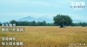 ​《志愿军：雄兵出击》特辑 2场戏揭露幕后“硬仗”