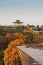 ​武汉大学四大王牌专业（武汉大学有哪些王牌专业）