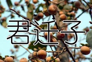 ​子寒名字寓意,子寒名字的含义是什么意思