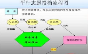 ​定向调配什么意思，填报志愿的定向调配和专业调配分别是什么意思？