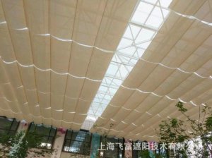 ​苏州电动遮阳帘厂家(电动遮阳帘厂家)