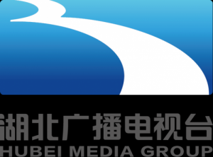 ​湖北广播电视总台台长(湖北广播电视总台王彬)