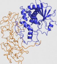 ​化学武器的杀伤特点?_化学武器的杀伤特点描述错误的是