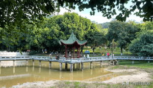 ​东莞一日游必去的地方(东莞一日游去哪里比较好)
